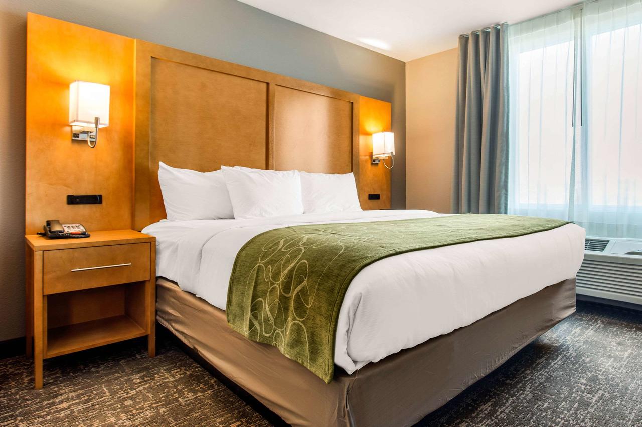 Comfort Suites North Charleston - Ashley Phosphate - thumb 29