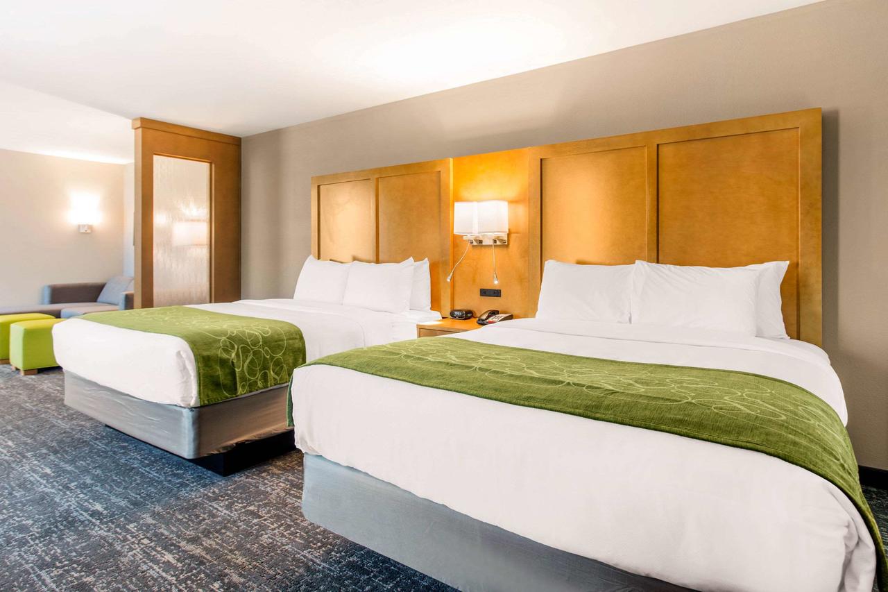 Comfort Suites North Charleston - Ashley Phosphate - thumb 18