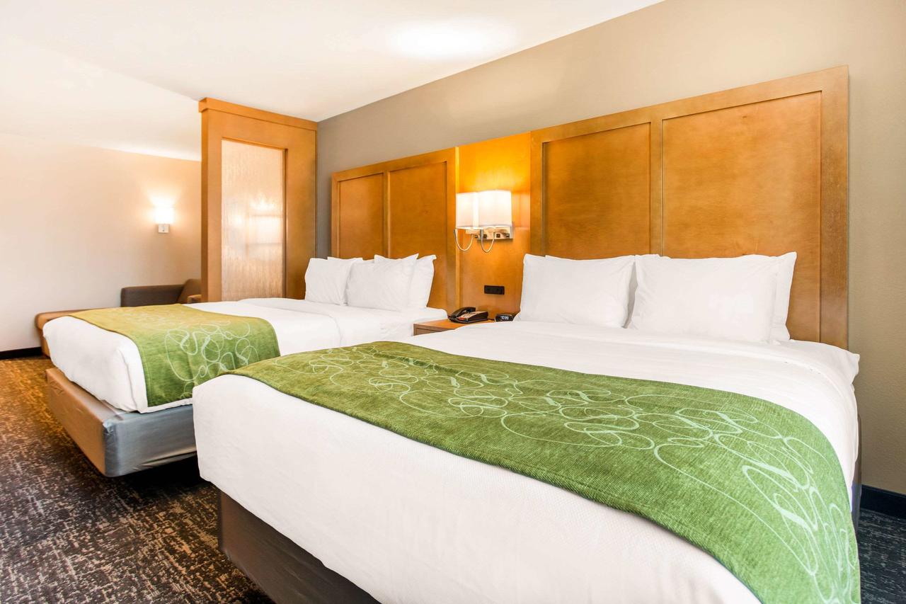 Comfort Suites North Charleston - Ashley Phosphate - thumb 13