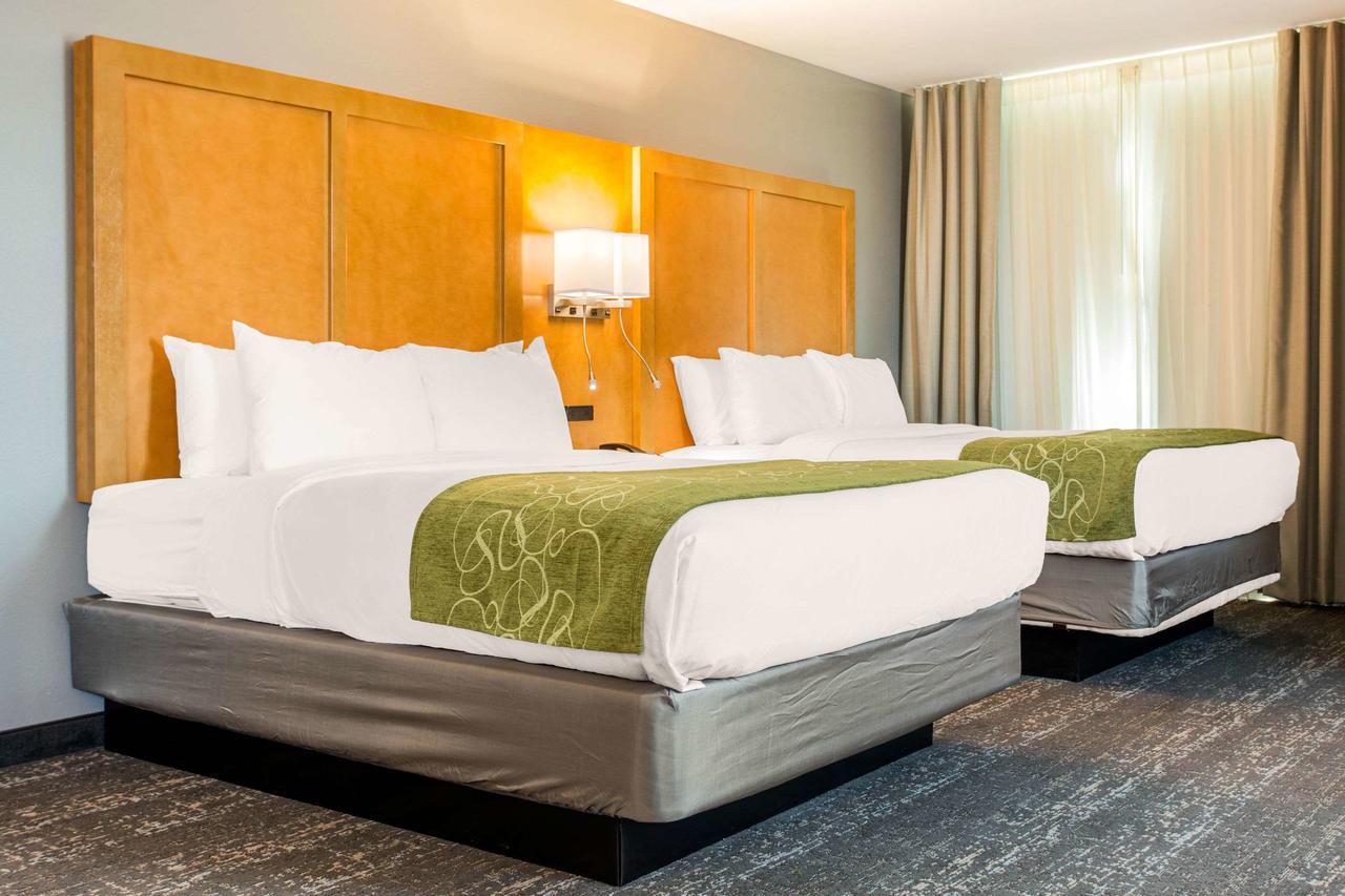 Comfort Suites North Charleston - Ashley Phosphate - thumb 26