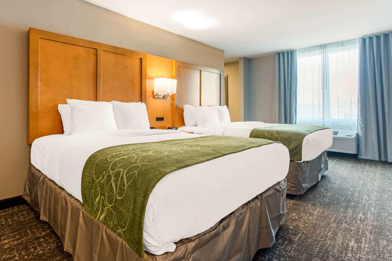 Comfort Suites North Charleston - Ashley Phosphate - thumb 6