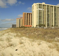 Kingston Plantation Condos by Hilton - Accommodation Los Angeles