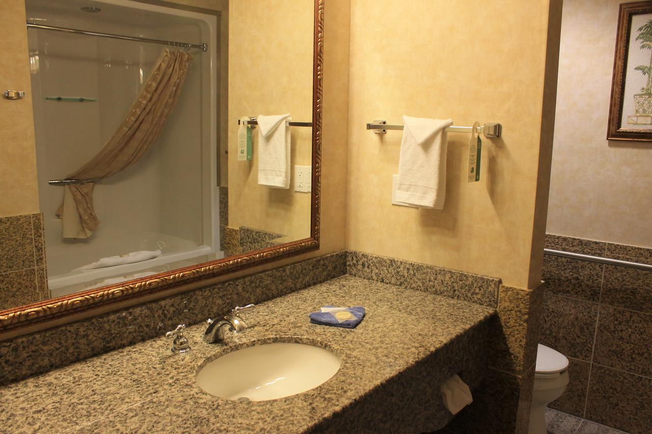 Rushmore Express & Suites - thumb 39