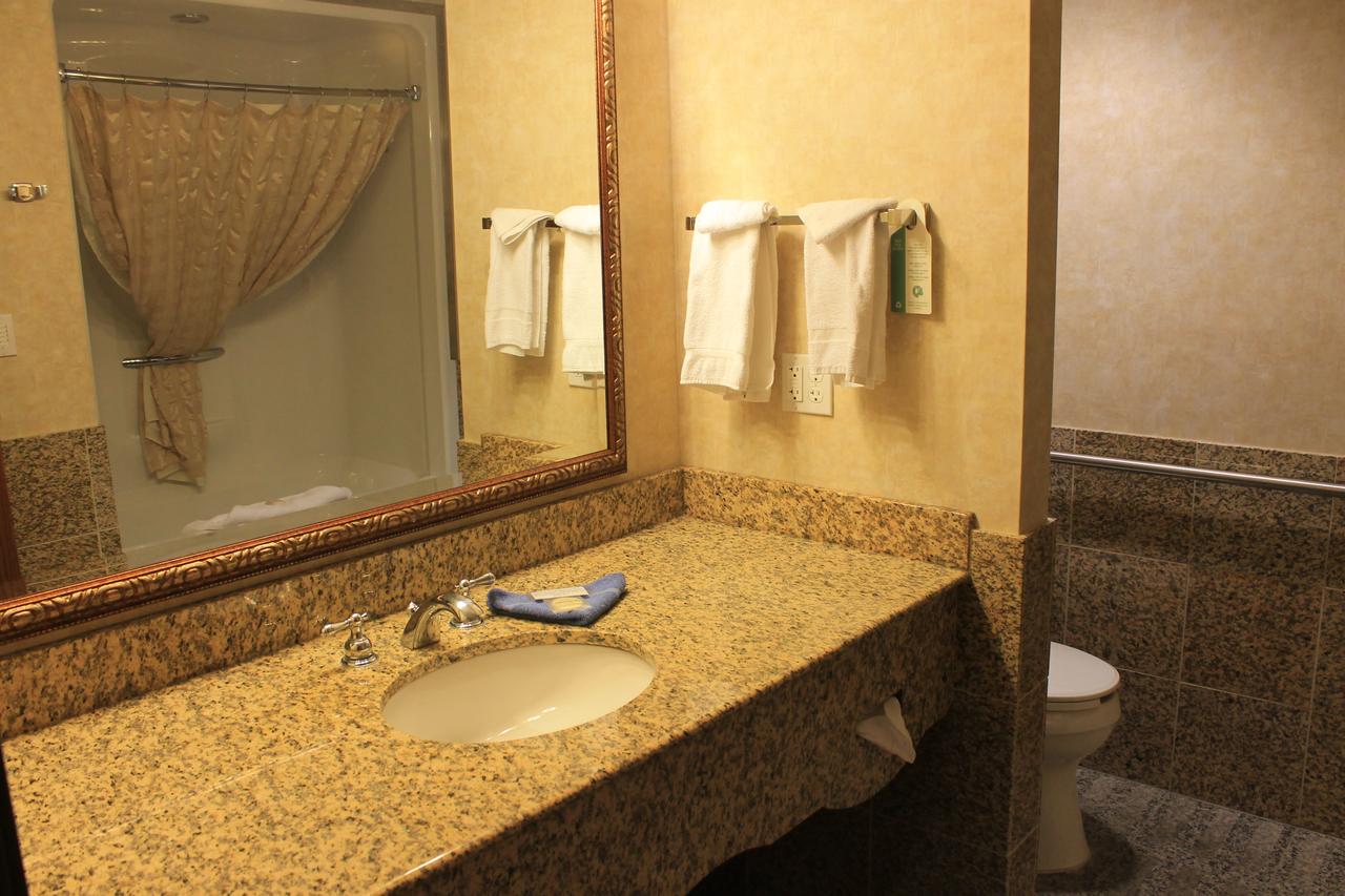 Rushmore Express & Suites - thumb 28