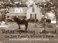 Ny Mulberry Accommodation Los Angeles