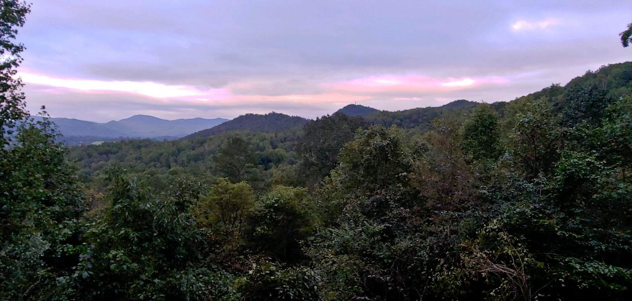 A View For Two - thumb 12