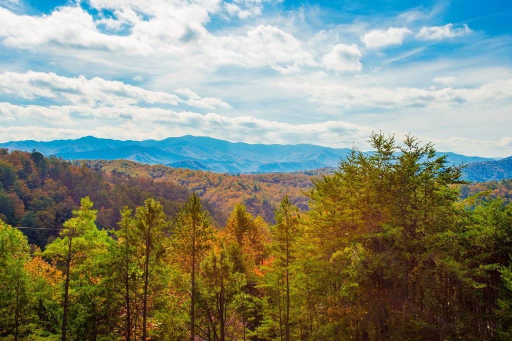 Kori's Cabin - thumb 37