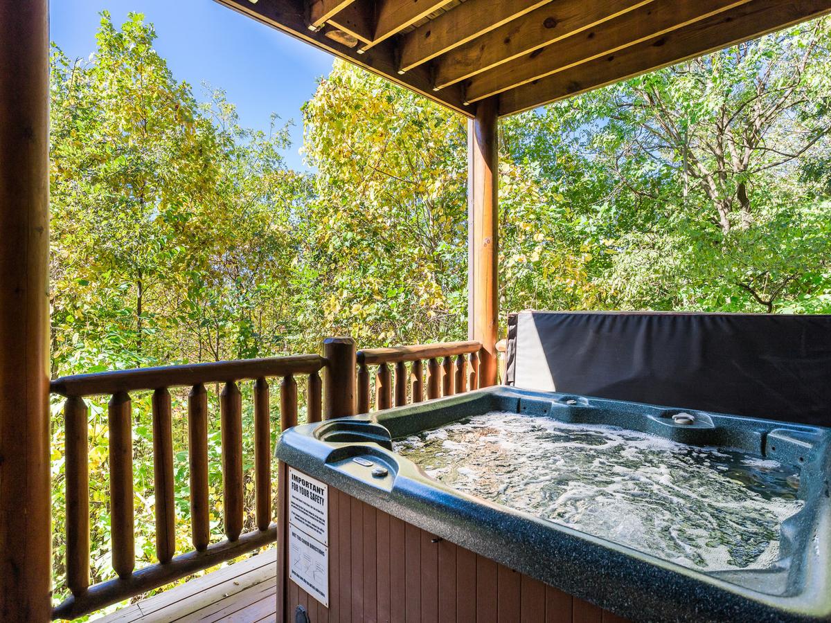 Big Bear Lodge, 5 Bedrooms, View, Hot Tub, Privacy, Jacuzzis, Sleeps 26 - thumb 1