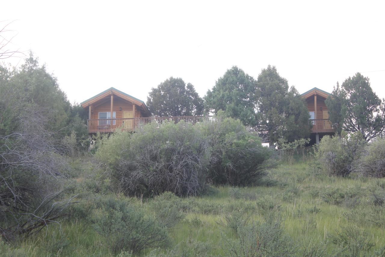 Sevier River Ranch & Cattle Company - thumb 40