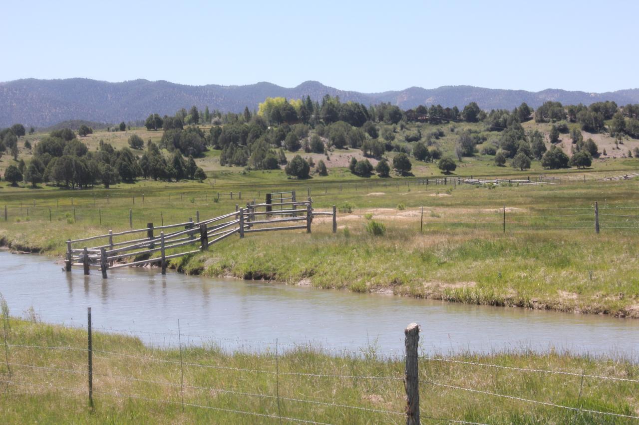 Sevier River Ranch & Cattle Company - thumb 23