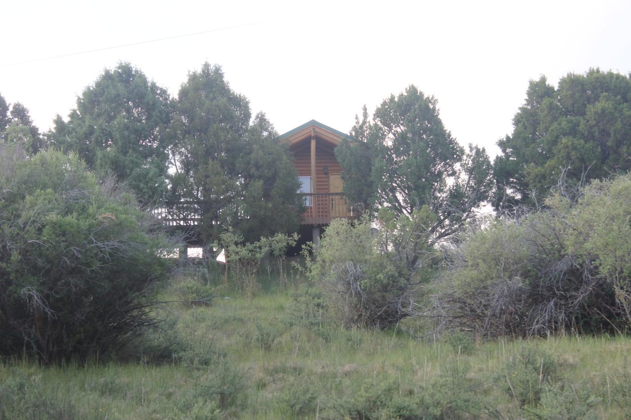 Sevier River Ranch & Cattle Company - thumb 39