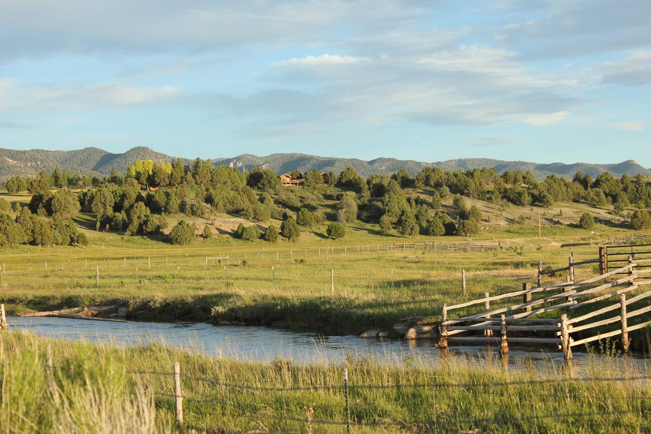Sevier River Ranch & Cattle Company - thumb 19