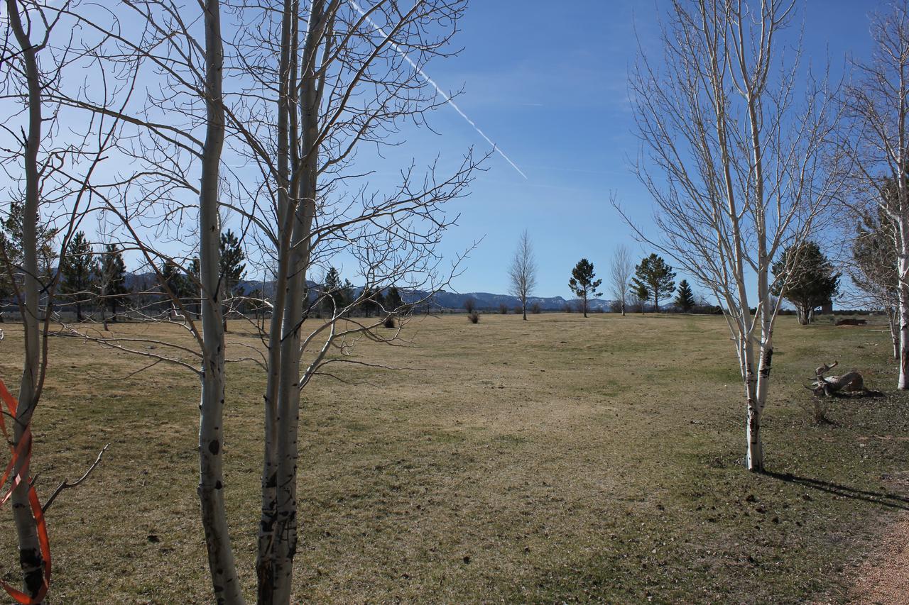 Sevier River Ranch & Cattle Company - thumb 2