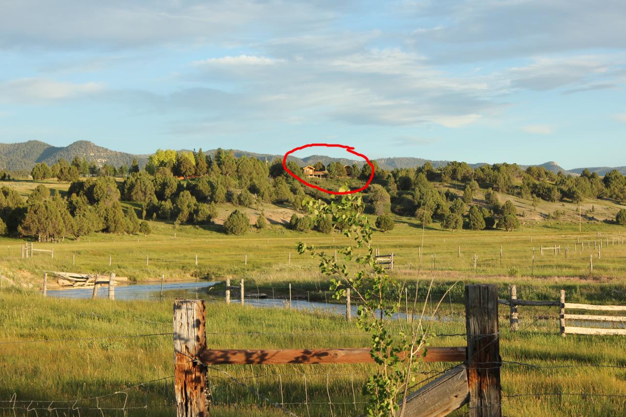 Sevier River Ranch & Cattle Company - thumb 0