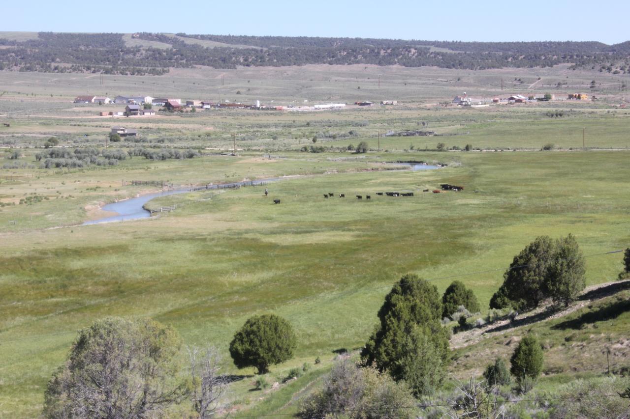 Sevier River Ranch & Cattle Company - thumb 13