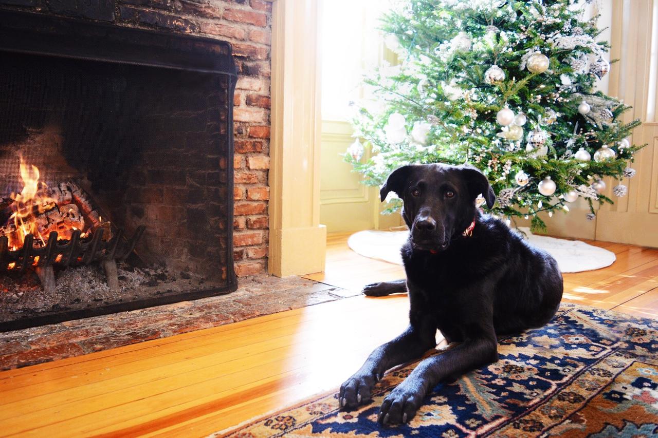 Barrows House - thumb 18