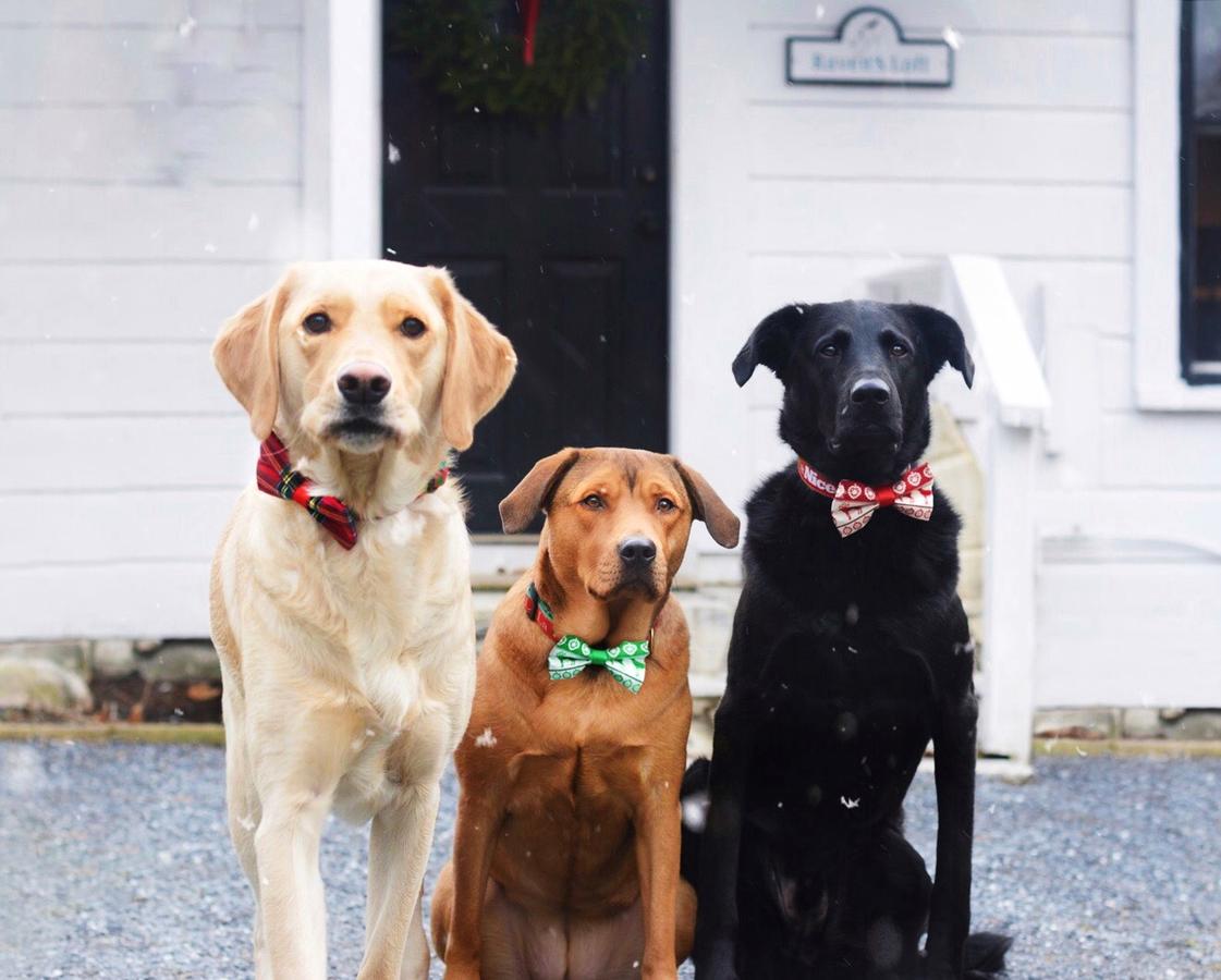 Barrows House - thumb 17