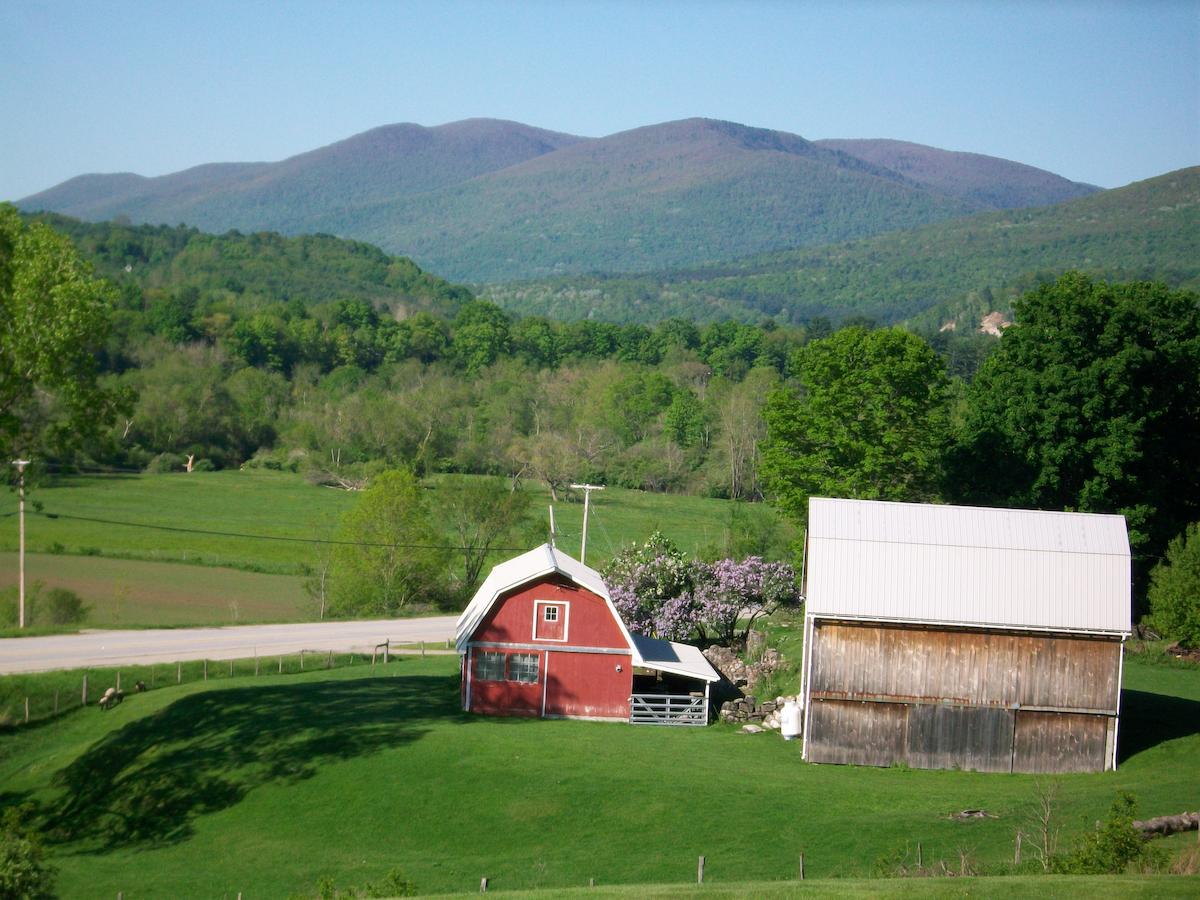North Shire Lodge - thumb 19