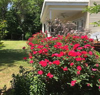 The Baywood Bed  Breakfast - Accommodation Los Angeles