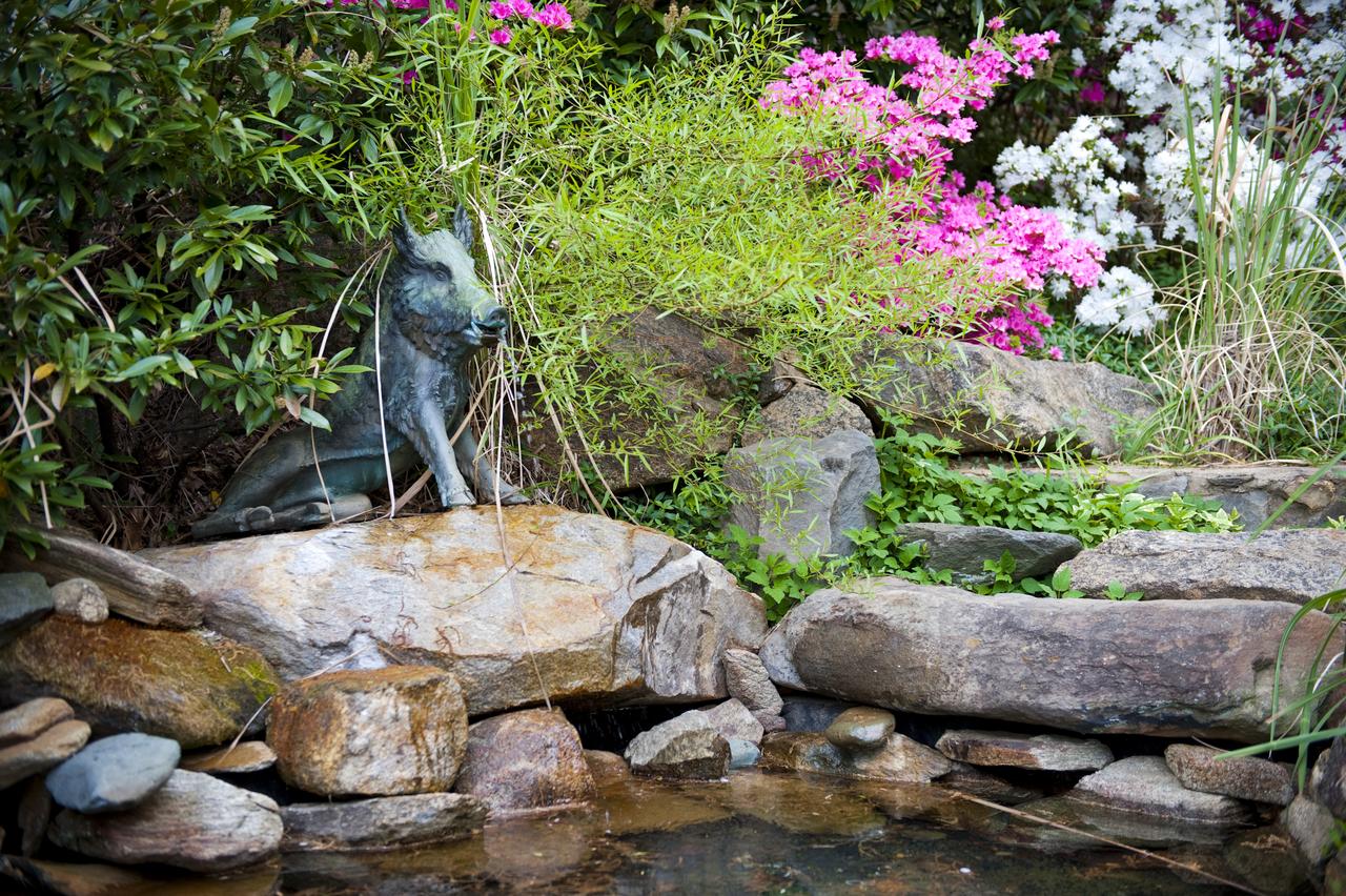 Boar's Head Resort - thumb 20