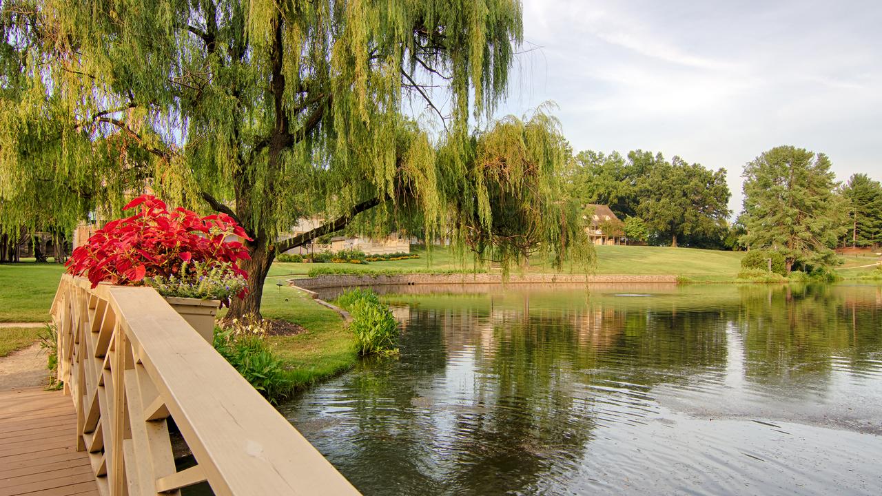 Boar's Head Resort - thumb 23