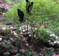 Bellevue Retreat - Bellevue Washington - Accommodation Los Angeles