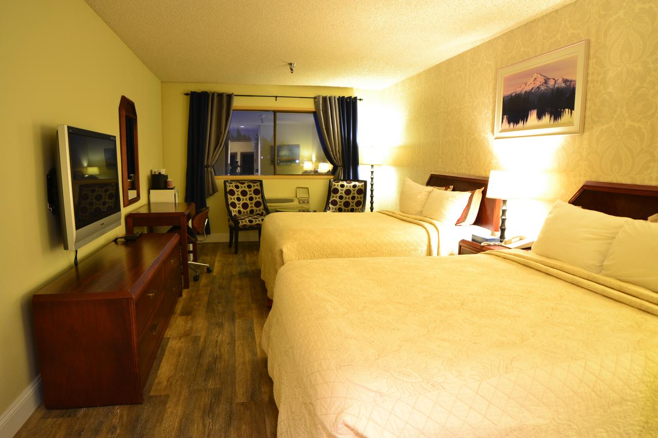Hotel International - thumb 1