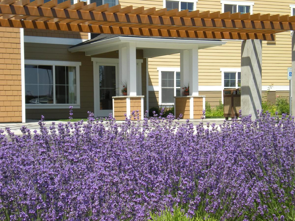 Ledgestone Hotel - thumb 11