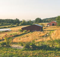 White Lotus Farm  Inn - Accommodation Los Angeles