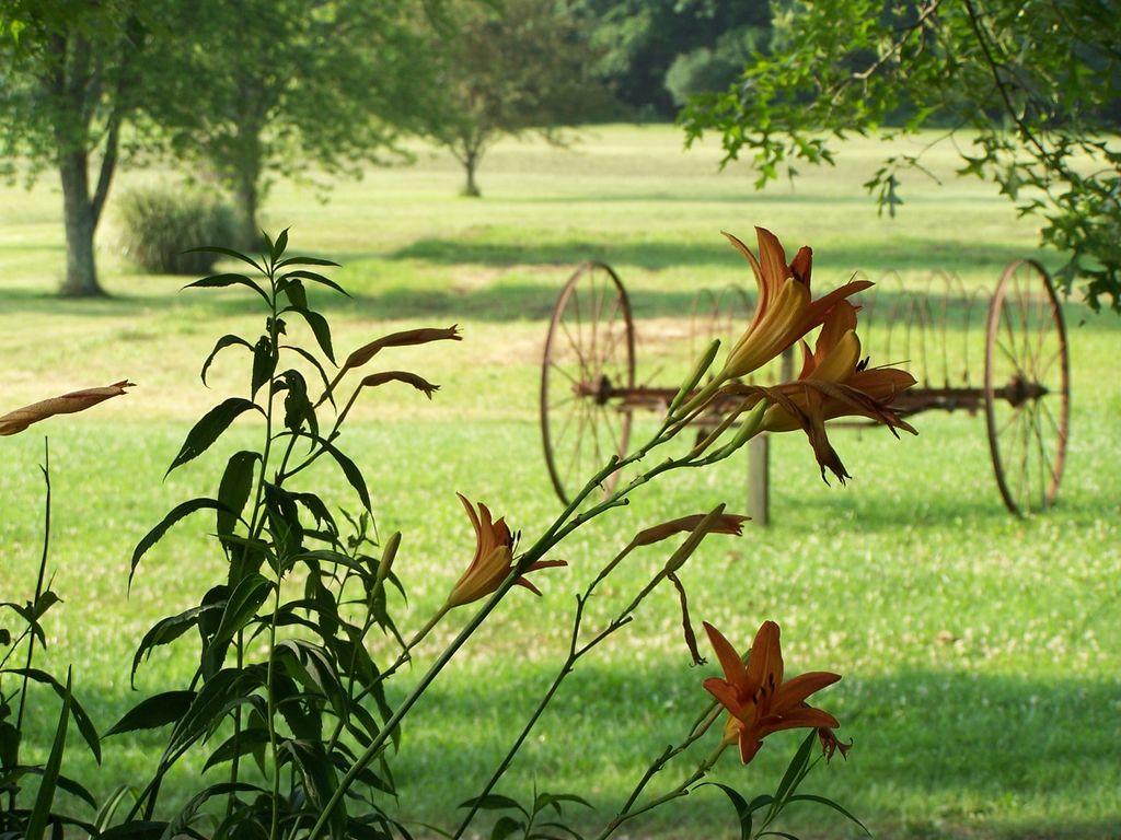 Rustic Log Cabin - thumb 13