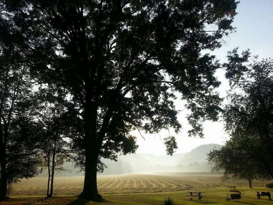 Rustic Log Cabin - thumb 17