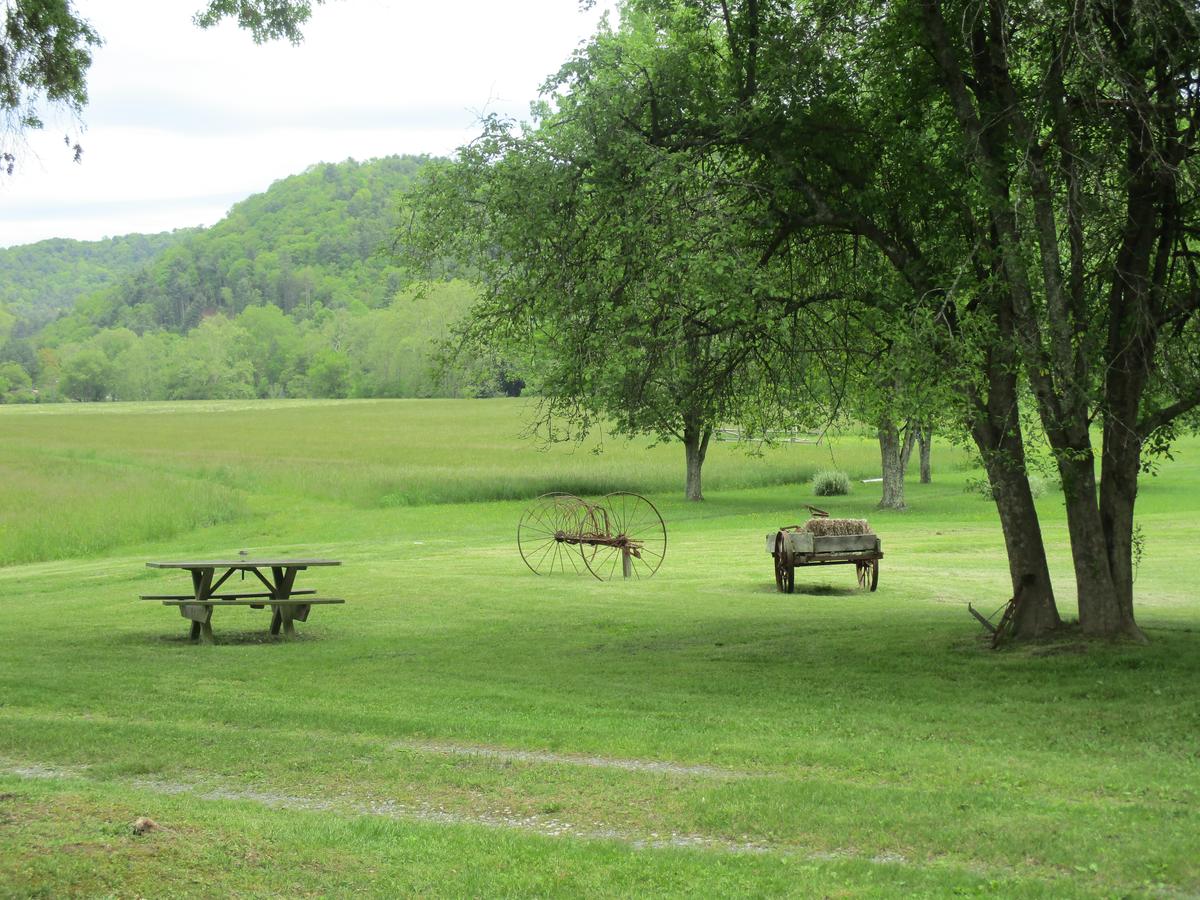 Rustic Log Cabin - thumb 16
