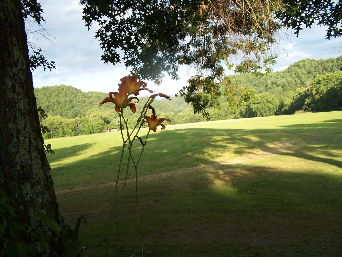 Rustic Log Cabin - thumb 2