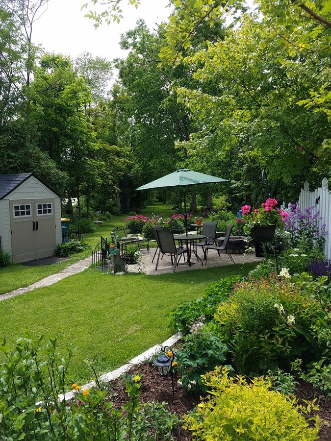 Lilly Pad - thumb 16