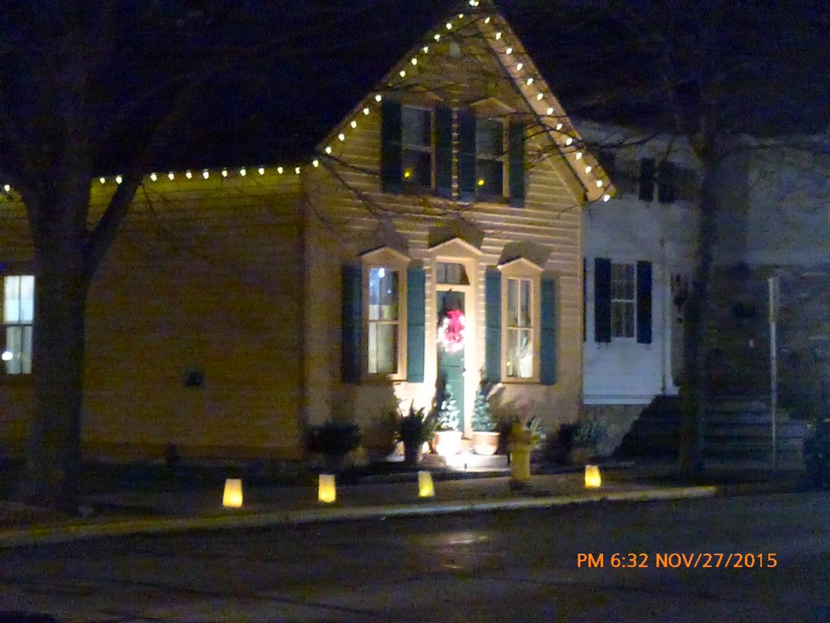 Lilly Pad - thumb 21