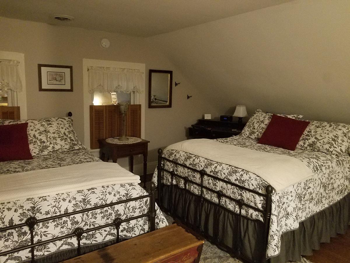 Lilly Pad - thumb 10