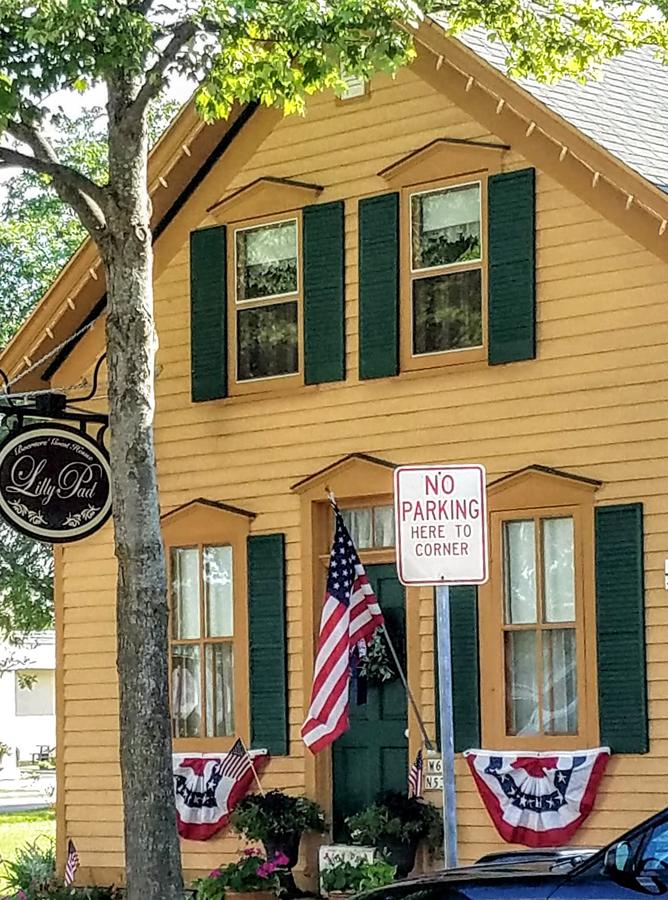 Lilly Pad - thumb 18