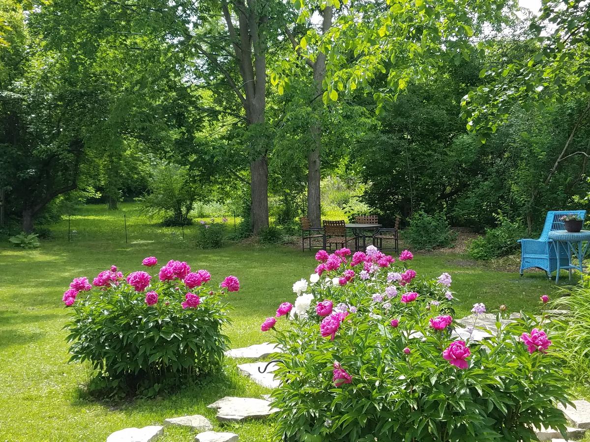 Lilly Pad - thumb 17