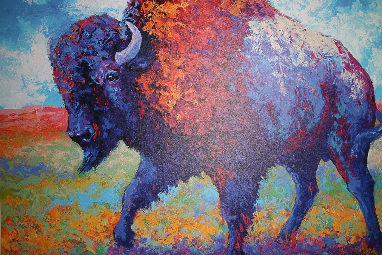 Buffalo Inn - thumb 18