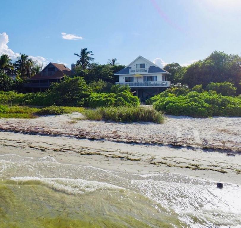 019- Dolphin Cottage - thumb 0