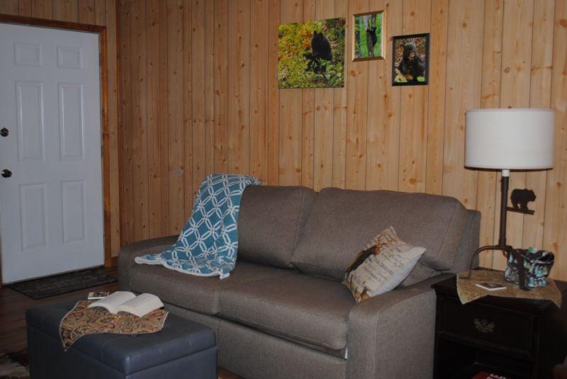 1 Playful Cub - 1 Bedrooms, 1 Baths, Sleeps 4 Cabin - thumb 0