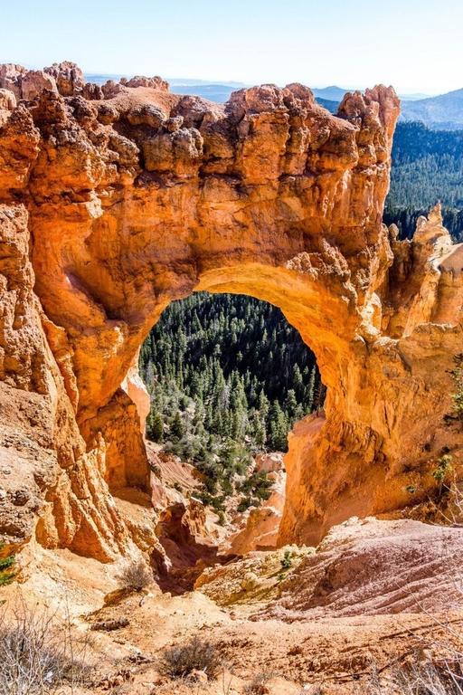 Adventure Awaits 3King Bed,2Bath Log Cabin In Heart Of Duck Creek Village! - thumb 3