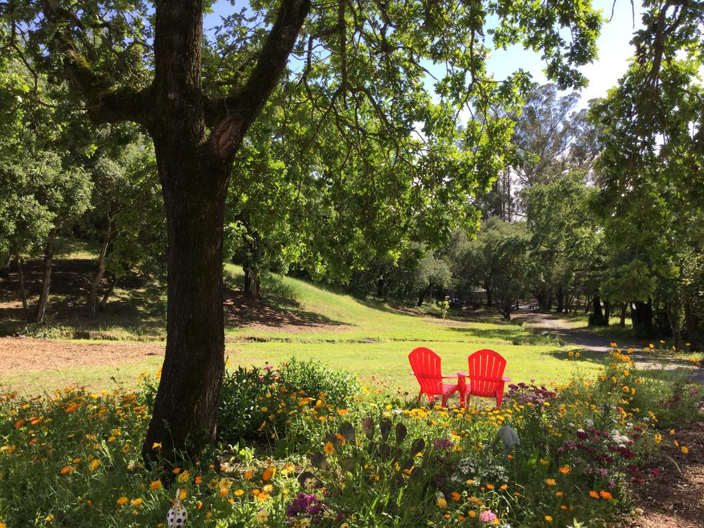 Amitabha Wine Country Cottage - thumb 0