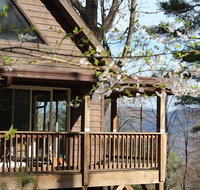 Asheville Town Cabin cabin - Accommodation Los Angeles