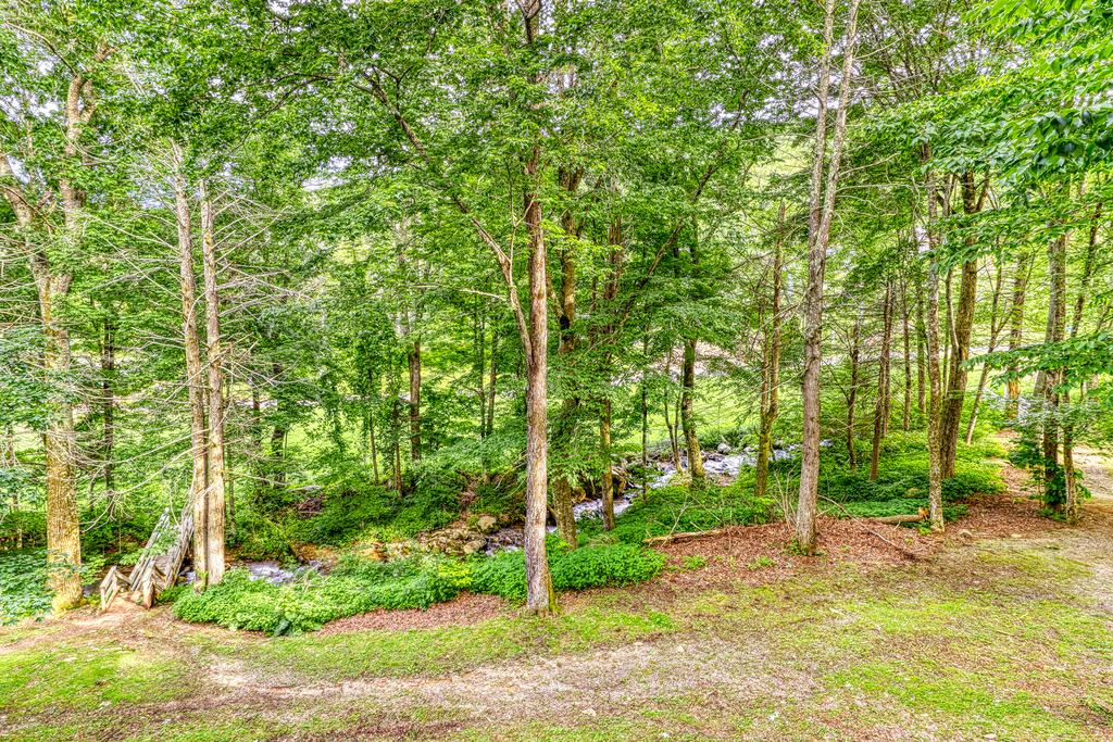 Bee Branch 01 - thumb 2