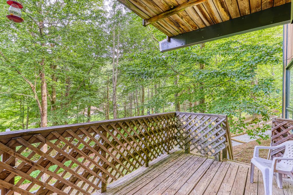 Bee Branch 01 - thumb 1