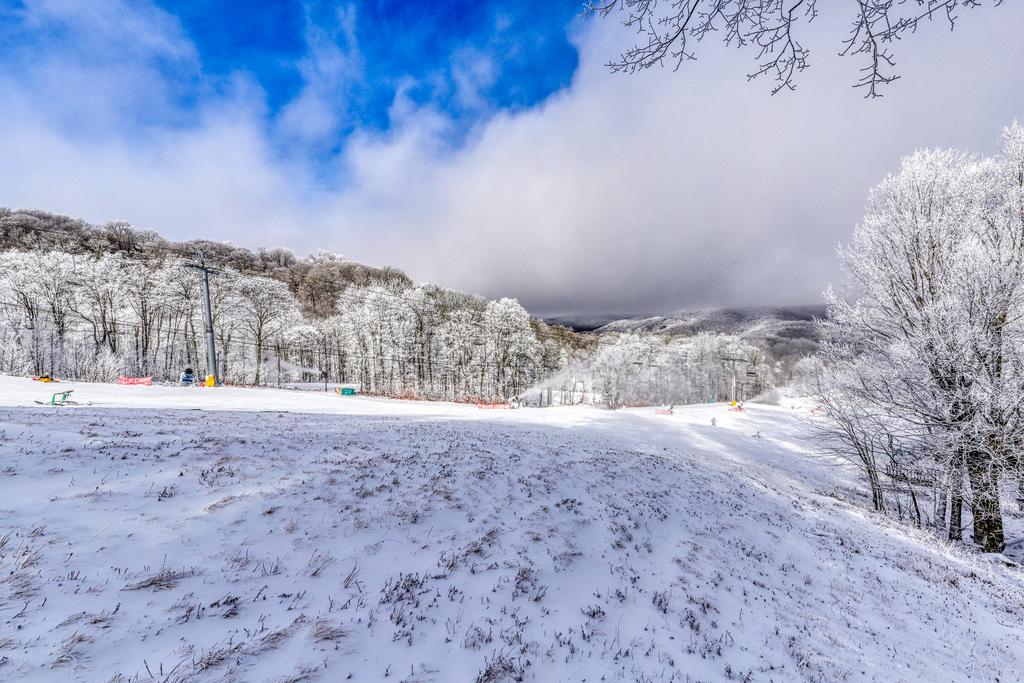 Bee Branch 14 - thumb 3