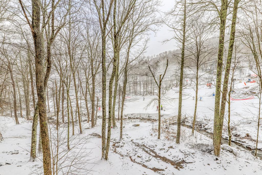 Bee Branch 14 - thumb 2