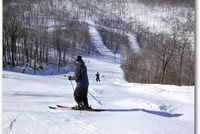 Booking Claysburg Accommodation Los Angeles