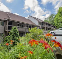 Branches 10 - Accommodation Los Angeles